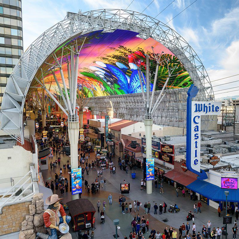 madness fremont st canopy